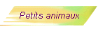 Petits animaux