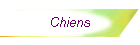 Chiens