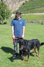 Lucas employé gardien d'animaux
